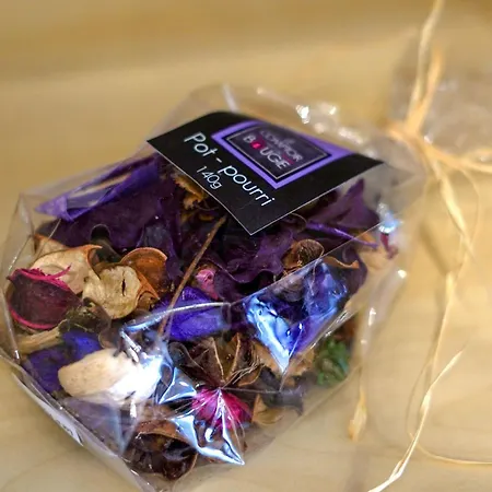 Casa Da Avo Toninha By Quantique Appartement Braga