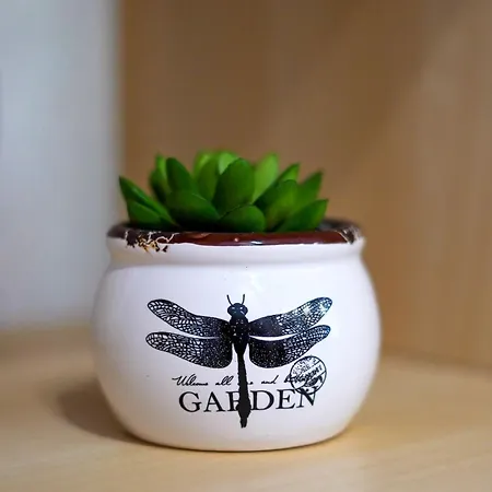 Casa Da Avo Toninha By Quantique Appartamento *