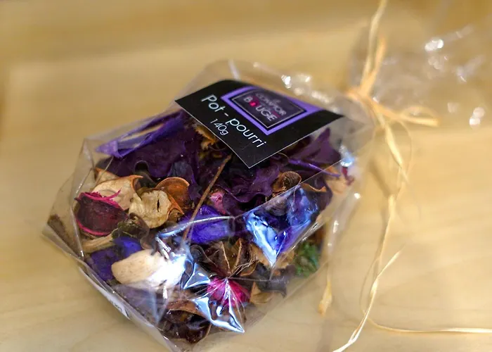 Casa Da Avo Toninha By Quantique アパート ブラガ