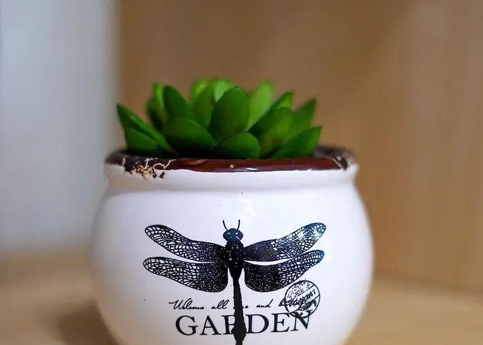 Casa Da Avo Toninha By Quantique アパート *